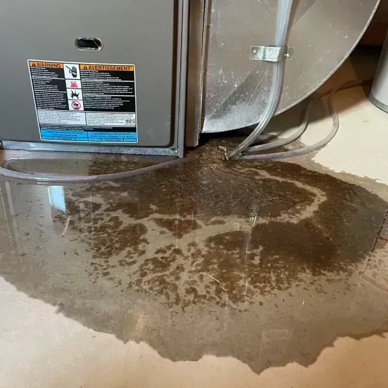 Appliance Leak Cleanup in Southworth, WA